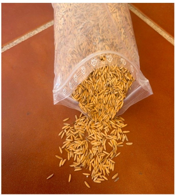Rice husk