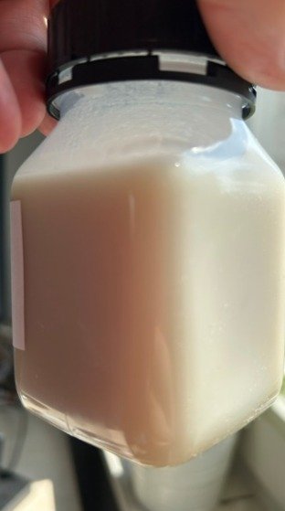 Hydrolyzed CAT3 protein for feed use