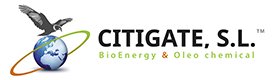 Citigate Logo